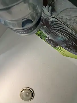 aavrdvh33 online show from September 2025 03:55:02 PM