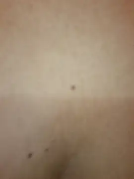 Luna 20x online show from October 2025 07:22:01 PM