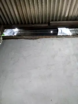 Baby-sexyass96 online show from February 2026 01:59:02 AM