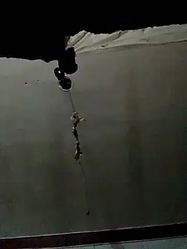 Luk909090 online show from October 2025 09:32:01 AM