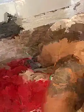 morenaluaa online show from October 2025 04:40:02 PM