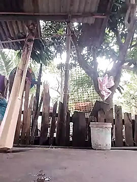 Snapshot of BigBoobs186 chatting on October 2025 10:52:01 PM BigBoobs186 online show from October 2025 10:52:01 PM