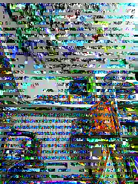 ISHANI-SINGH online show from November 2025 03:37:02 PM