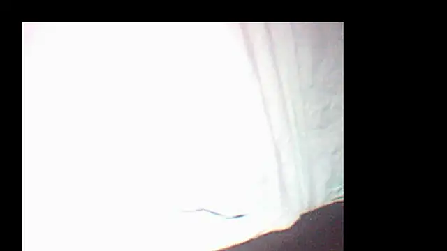 Snapshot of pietje1991 chatting on December 2025 03:52:02 PM pietje1991 online show from December 2025 03:52:02 PM