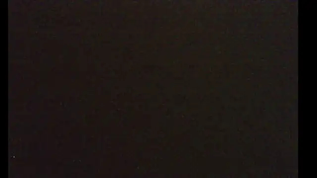 Snapshot of pietje1991 chatting on January 2026 04:03:01 AM pietje1991 online show from January 2026 04:03:01 AM