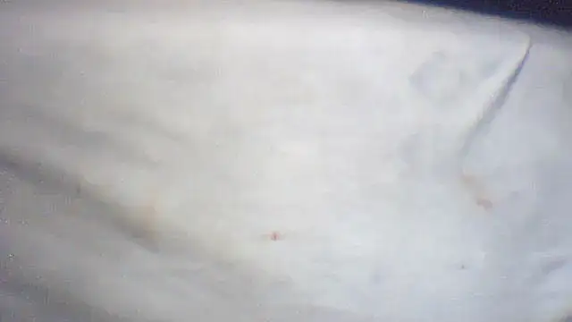 Snapshot of pietje1991 chatting on February 2026 01:43:01 PM pietje1991 online show from February 2026 01:43:01 PM