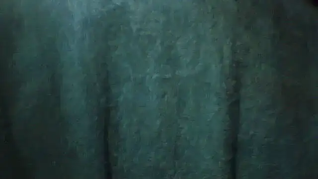 Snapshot of pietje1991 chatting on February 2026 03:46:01 PM pietje1991 online show from February 2026 03:46:01 PM