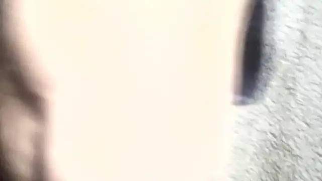 pietje1991 online show from March 2026 01:18:02 PM