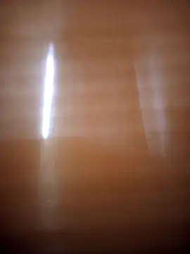 Fernandar2025 online show from March 2026 06:07:02 PM