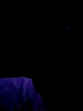 Thoma9034 online show from October 2025 03:17:02 AM