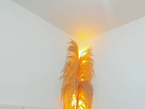 Kieran kian online show from February 2026 12:29:01 AM