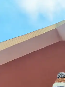 Michel huge online show from February 2026 05:45:01 AM