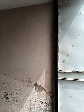 yourcrush0123 online show from September 2025 05:28:02 AM