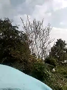 Tiyir597 online show from March 2026 02:02:01 AM