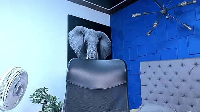 andres-clark92 online show from October 2025 06:14:02 PM