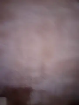 ddllrr224 online show from December 2025 11:43:02 PM