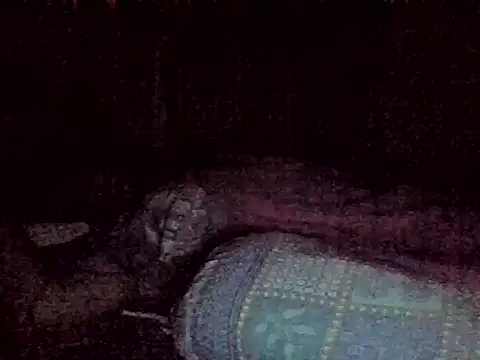 Snapshot of harish_x chatting on February 2026 06:26:01 PM harish x online show from February 2026 06:26:01 PM