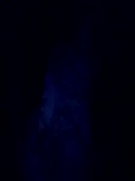jyohorny online show from July 2026 07:38:01 PM