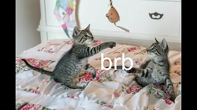 Pink girl0n online show from September 2025 02:42:01 PM