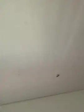 lana rousse01 online show from September 2025 02:49:02 PM