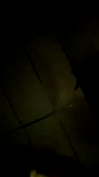 Snapshot of Bosssweet22cm chatting on March 2026 12:14:01 AM Bosssweet22cm online show from March 2026 12:14:01 AM