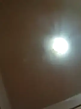 alexpo27 online show from December 2025 02:52:02 AM