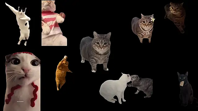 ch0wn m online show from November 2025 01:21:02 PM