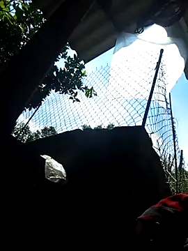 Bibilenu online show from October 2025 04:22:01 AM