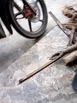 Bibilenu online show from November 2025 10:02:02 AM