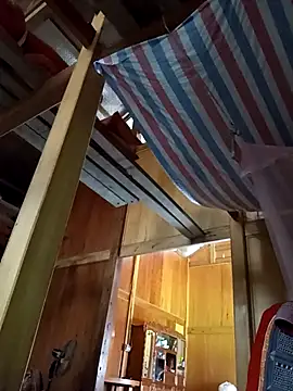 Bibilenu online show from November 2025 06:33:01 AM