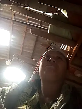 Bibilenu online show from November 2025 05:21:02 AM