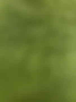 youyou933 online show from September 2025 05:57:02 PM