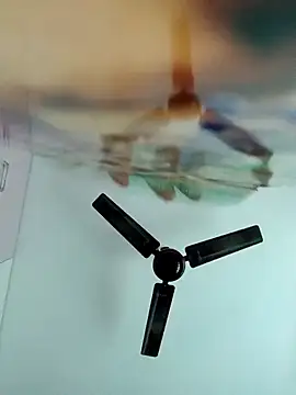 chaitanyaniharika online show from December 2025 02:29:02 AM