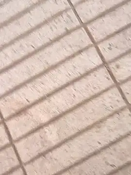 sonotutto online show from September 2025 04:29:01 PM