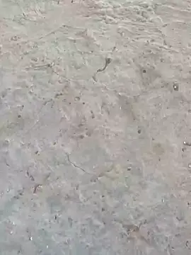 sonotutto online show from October 2025 06:06:01 PM