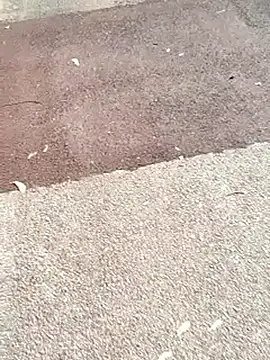 sonotutto online show from November 2025 10:50:02 AM