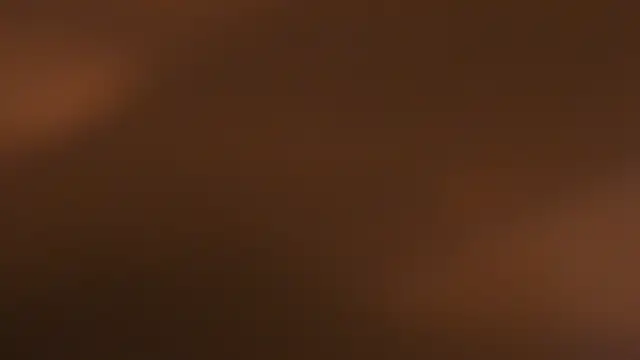 WILD FIREE  online show from October 2025 08:19:01 PM