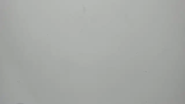 Snapshot of invincible200 chatting on September 2025 01:55:01 PM invincible200 online show from September 2025 01:55:01 PM