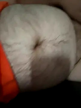 fatchubbynurse online show from September 2025 04:17:01 PM