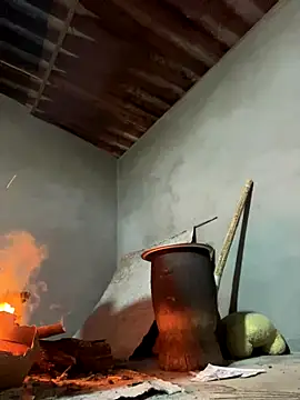 Sunny lotus online show from December 2025 12:09:01 PM