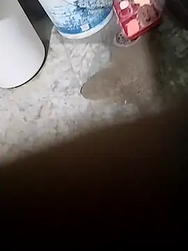 sumit 19 online show from November 2025 06:32:01 PM