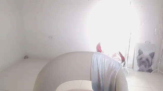 Stein  online show from September 2025 12:09:02 PM