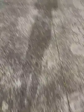 Foxfoxfox4 online show from November 2025 01:03:01 PM