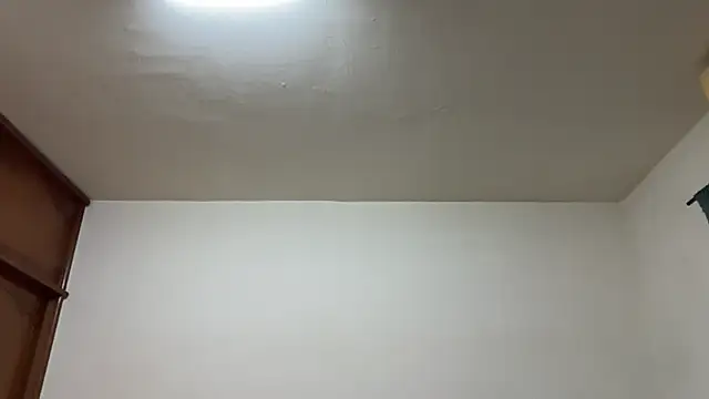 Foxfoxfox4 online show from February 2026 03:29:02 PM