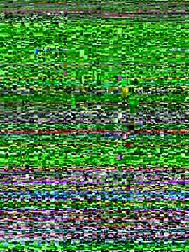 Snapshot of Emaline_Fane chatting on December 2025 06:15:02 PM Emaline Fane online show from December 2025 06:15:02 PM