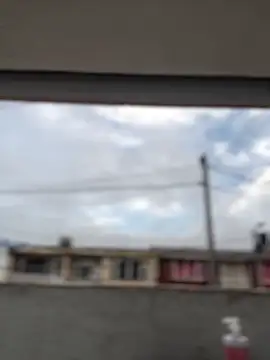 Sallem Pink online show from March 2026 11:14:01 AM