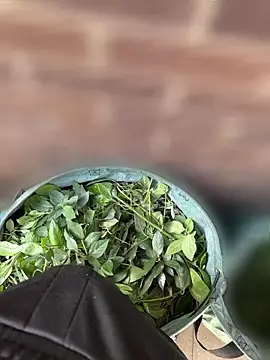 NaughtyStepson144 online show from April 2026 01:48:02 PM