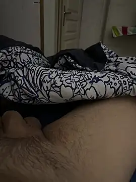 carapace31 online show from February 2026 11:31:01 PM