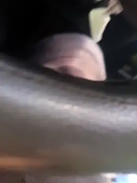 Frank0021 online show from November 2025 05:34:01 PM