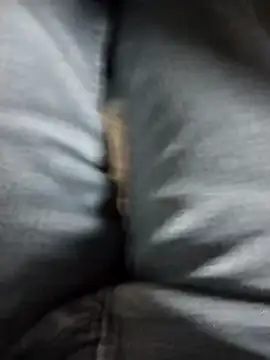 Snapshot of Ajayy01 chatting on March 2026 07:14:02 AM Ajayy01 online show from March 2026 07:14:02 AM